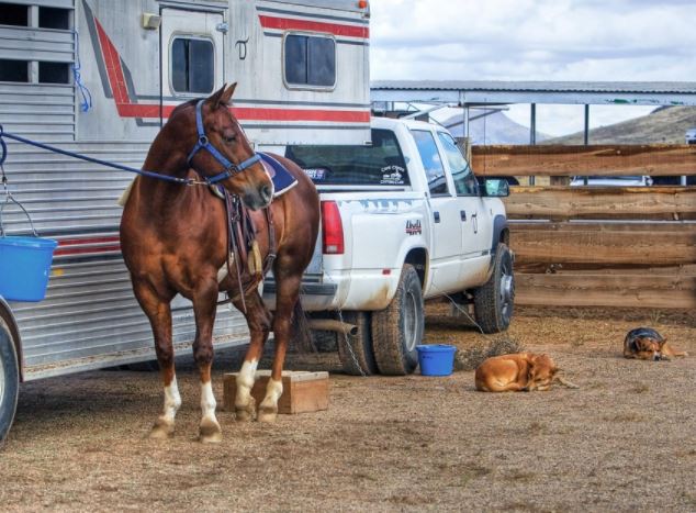 Making a Horse Trailer Ramp Less Slippery